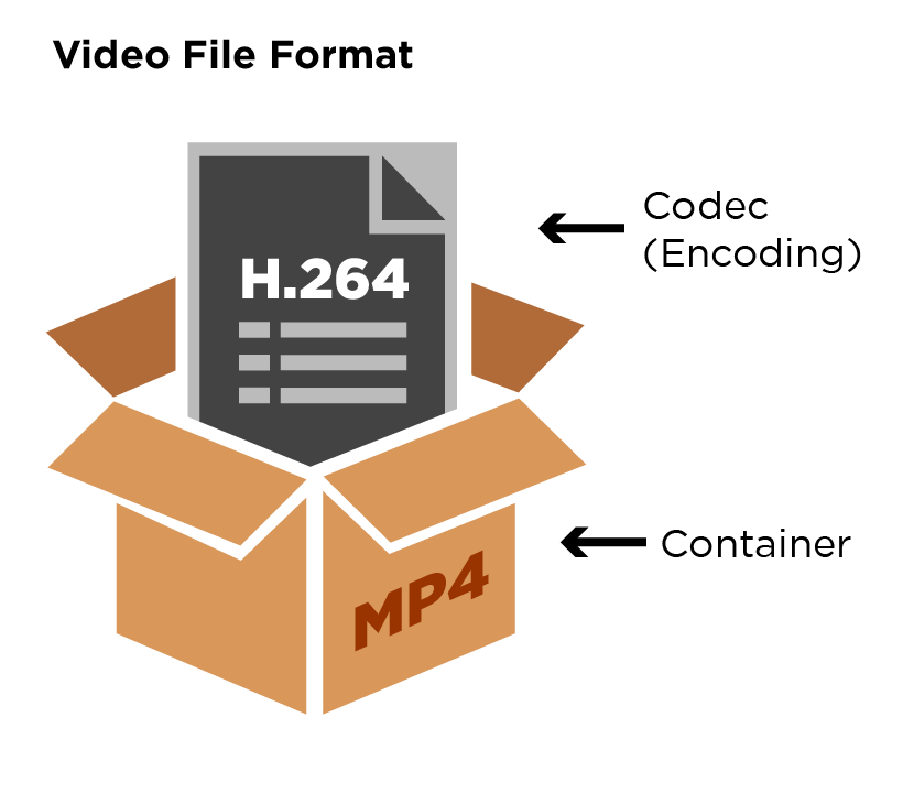 Video file package includes a codec and a container